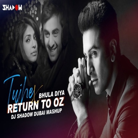 Tujhe Bhula Diya x Return To Oz DJ Shadow Dubai Mashup Mp3 Song Download