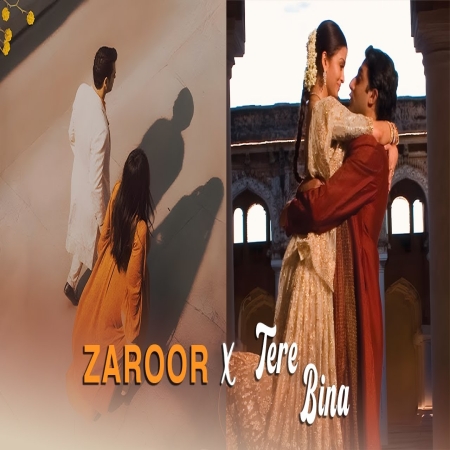 Zaroor X Tere Bina Song Download