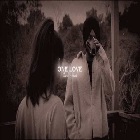 One Love Slowed Reverb Song Download