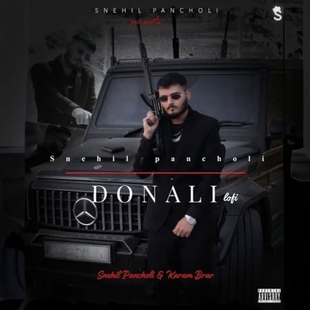 Donali Lofi Mp3 Song Download