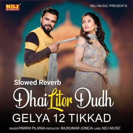 Dhai Litre Dudh Gelya Barah Tikkad Khau Su (Slowed Reverb) Lofi Mp3 Song Download