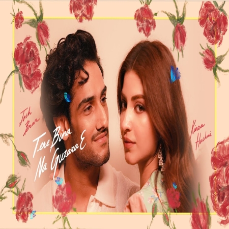 Tere Bina Na Guzara Song Download Mp3